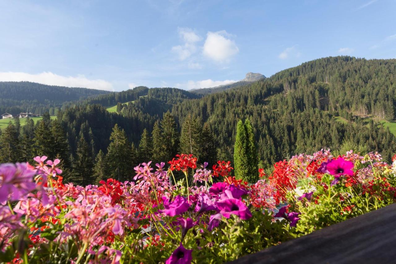 Alpenspitz Appartements - Garni - B&B Racines Εξωτερικό φωτογραφία