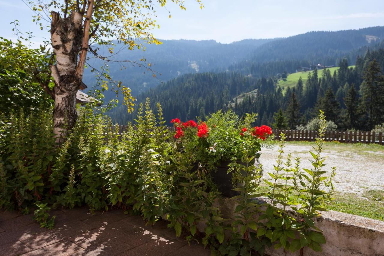 Alpenspitz Appartements - Garni - B&B Racines Εξωτερικό φωτογραφία