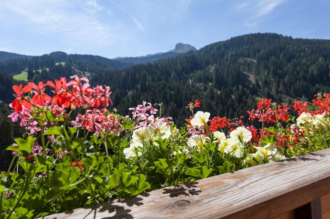Alpenspitz Appartements - Garni - B&B Racines Εξωτερικό φωτογραφία
