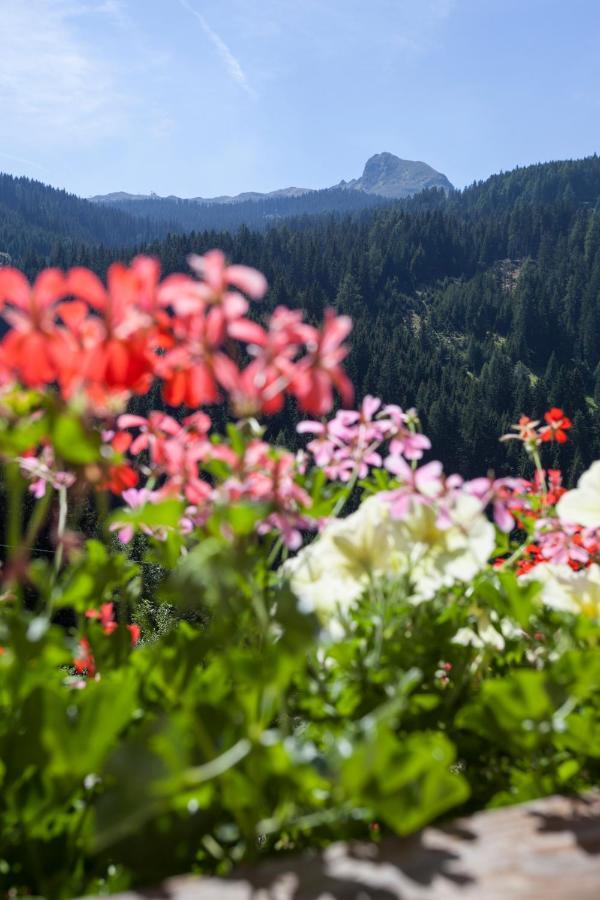 Alpenspitz Appartements - Garni - B&B Racines Εξωτερικό φωτογραφία